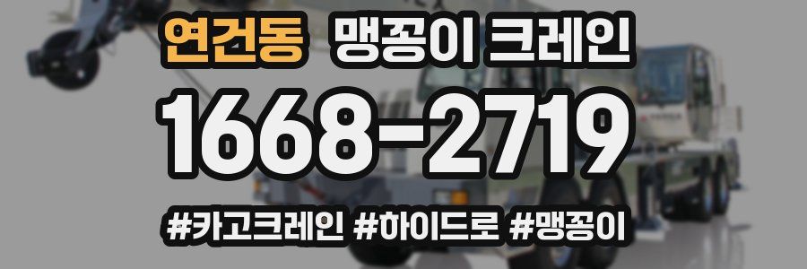 연건동 맹꽁이 크레인