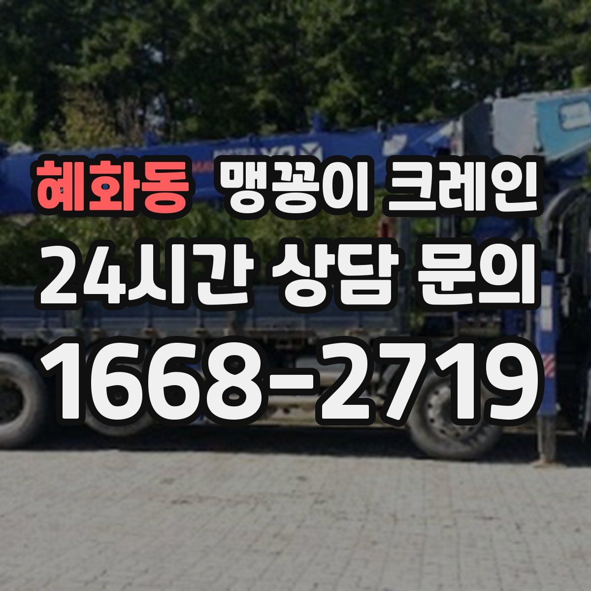 혜화동 맹꽁이 크레인