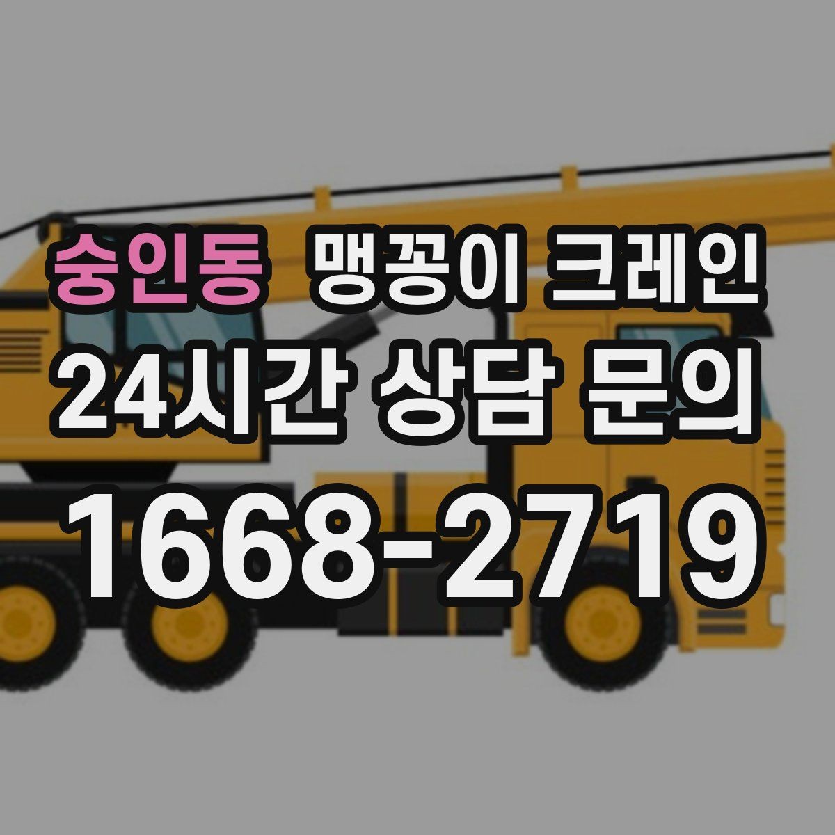 숭인동 맹꽁이 크레인 공사장 출입이 까다로운 곳에서 유리한 이유
