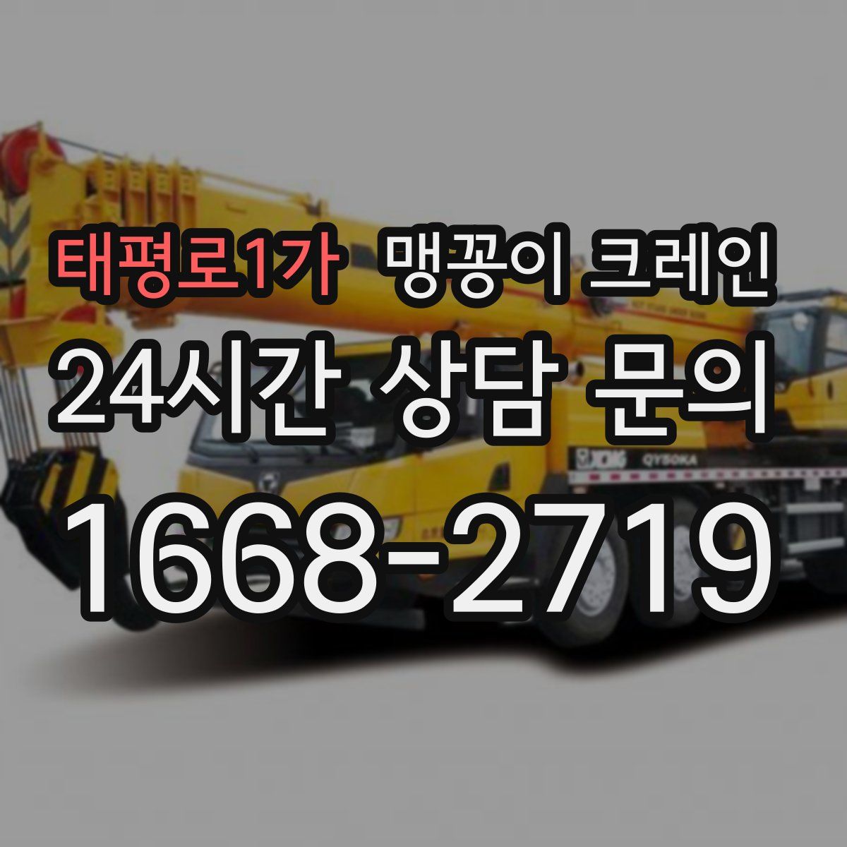 태평로1가 맹꽁이 크레인