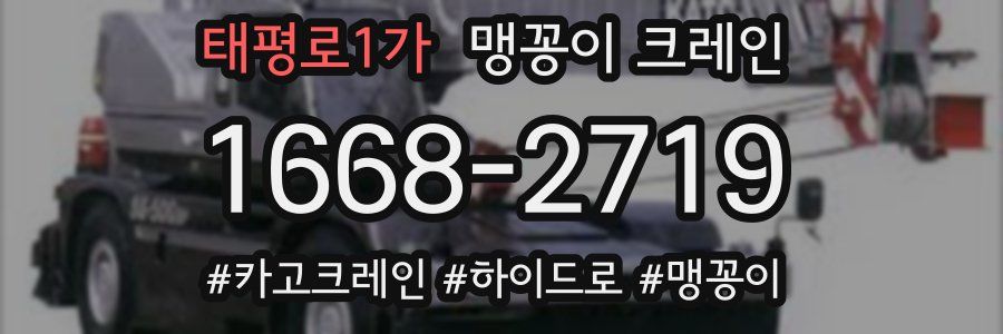 태평로1가 맹꽁이 크레인