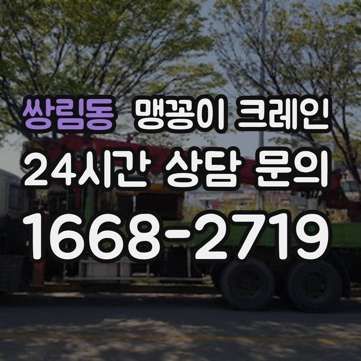 쌍림동 맹꽁이 크레인