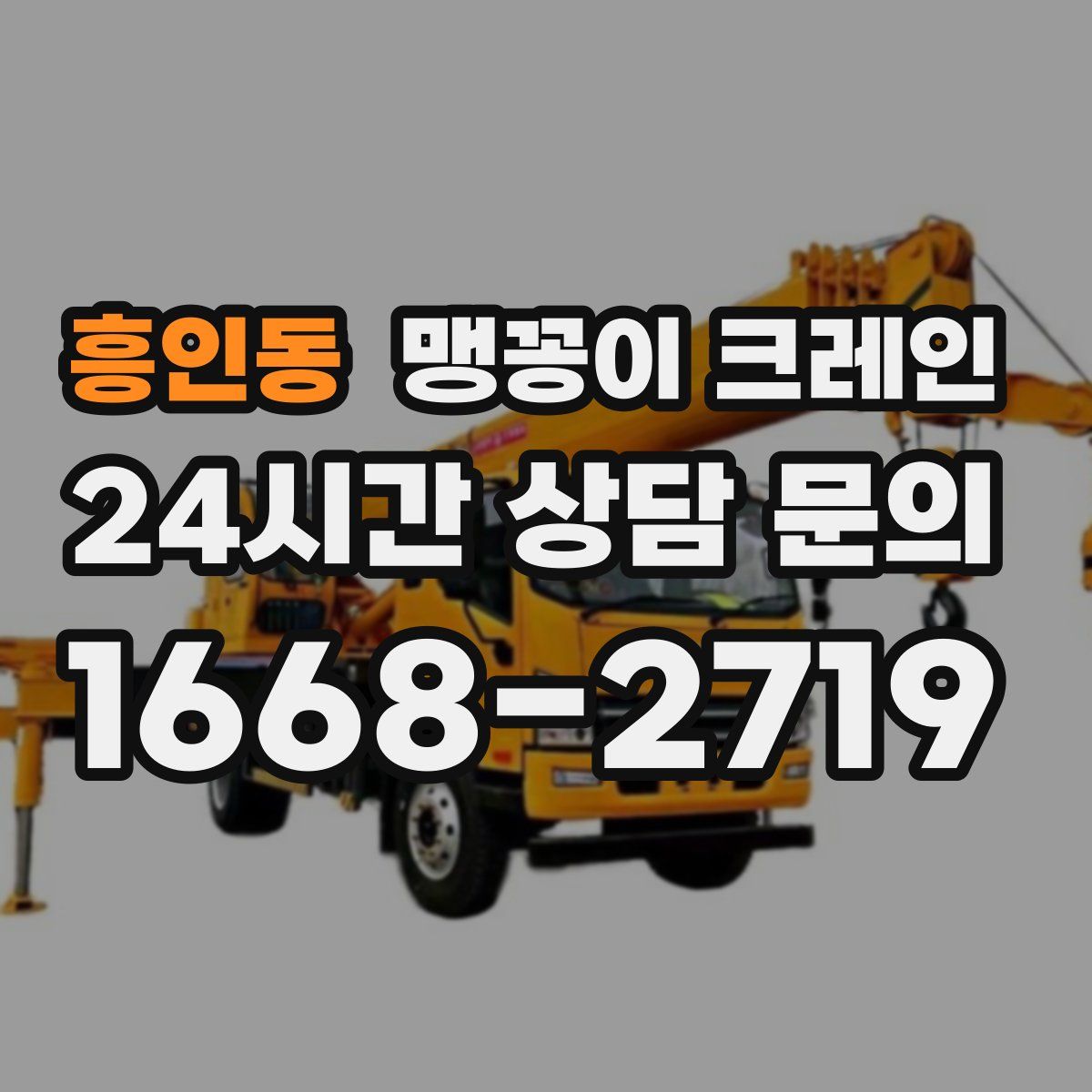 흥인동 맹꽁이 크레인
