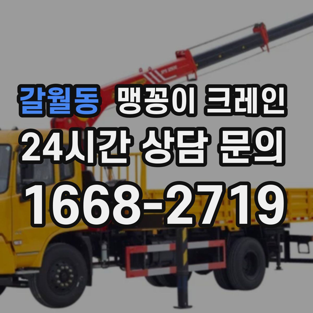 갈월동 맹꽁이 크레인