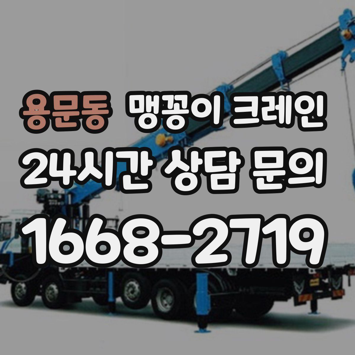 용문동 맹꽁이 크레인