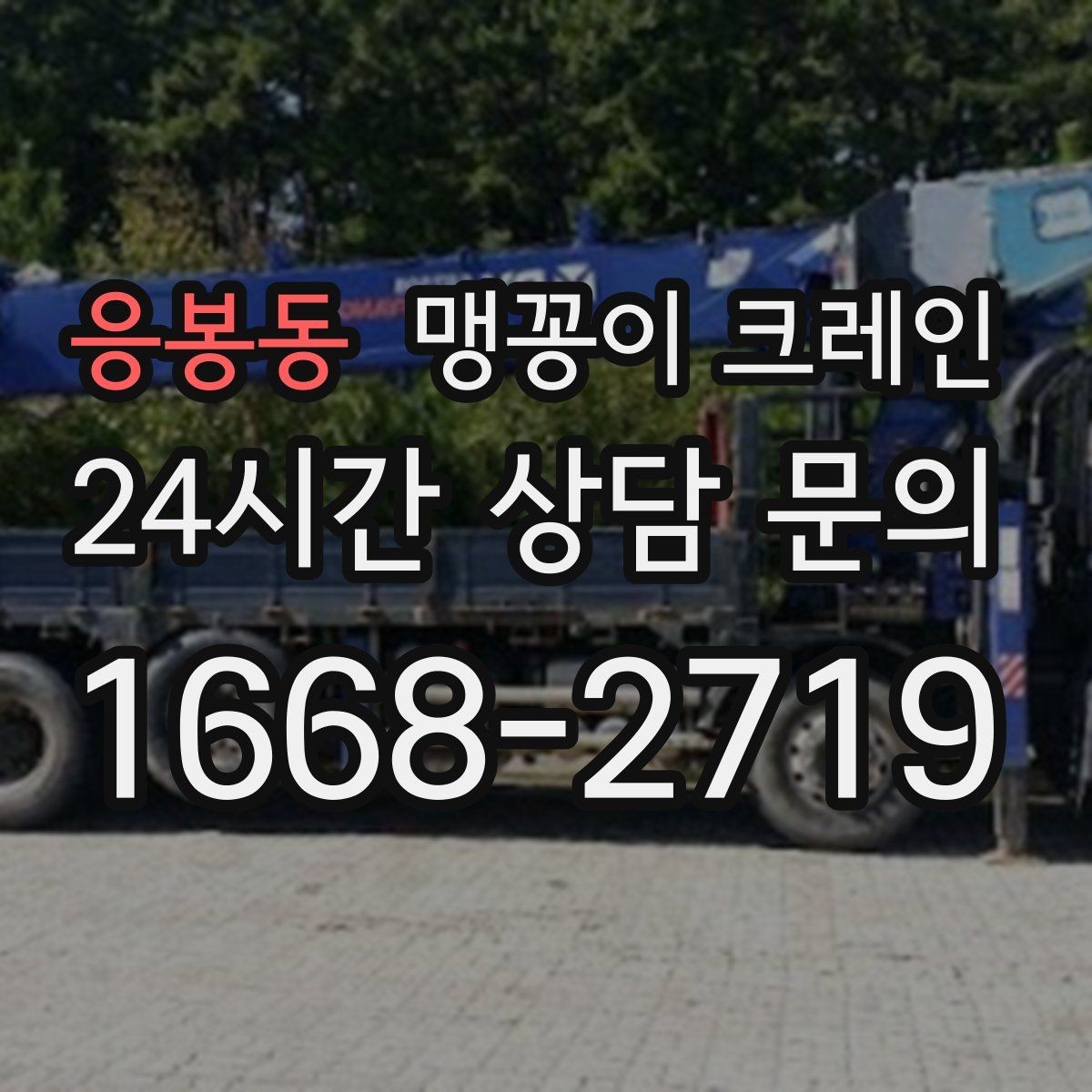 응봉동 맹꽁이 크레인 출입로 폭·높이 사진이 중요한 이유