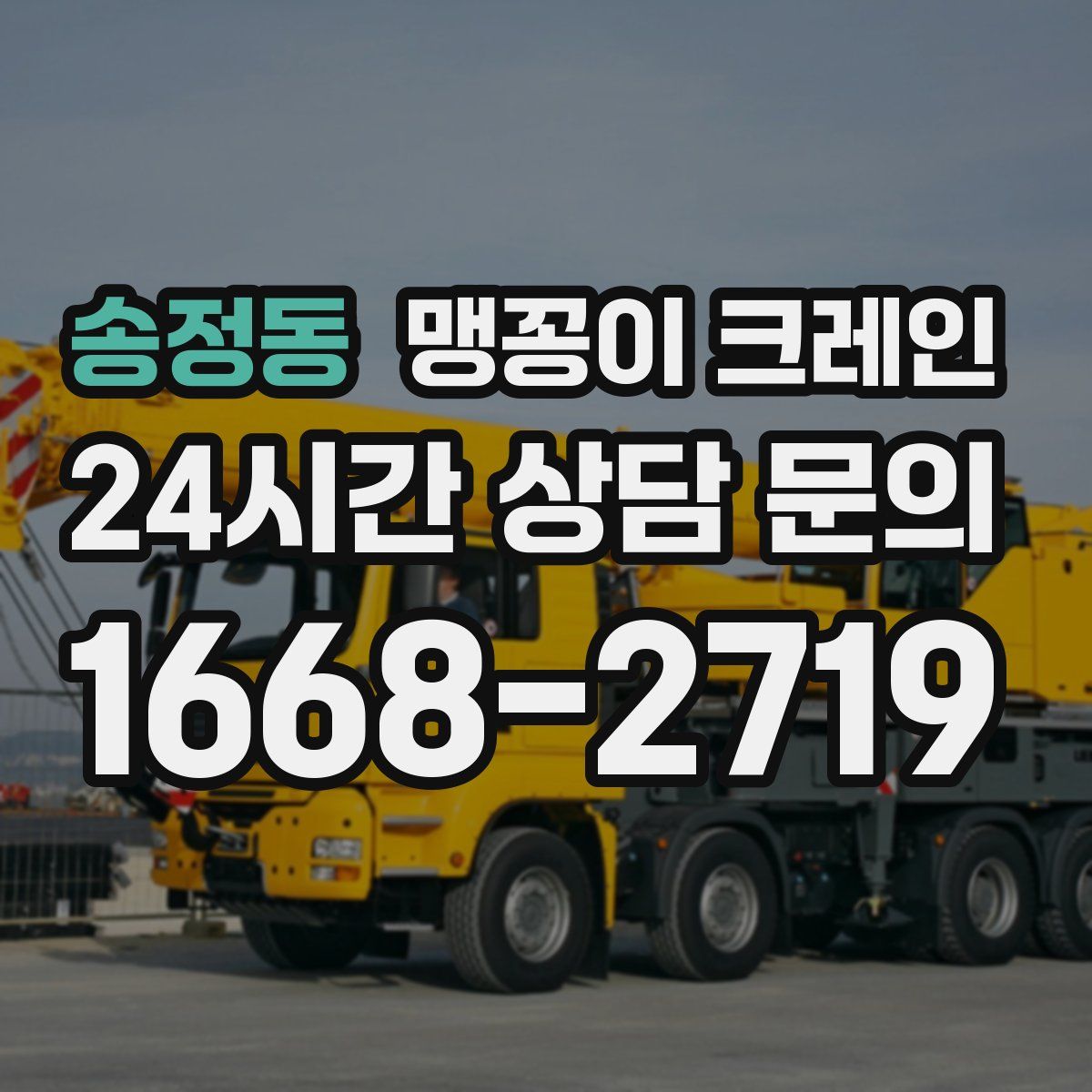 송정동 맹꽁이 크레인