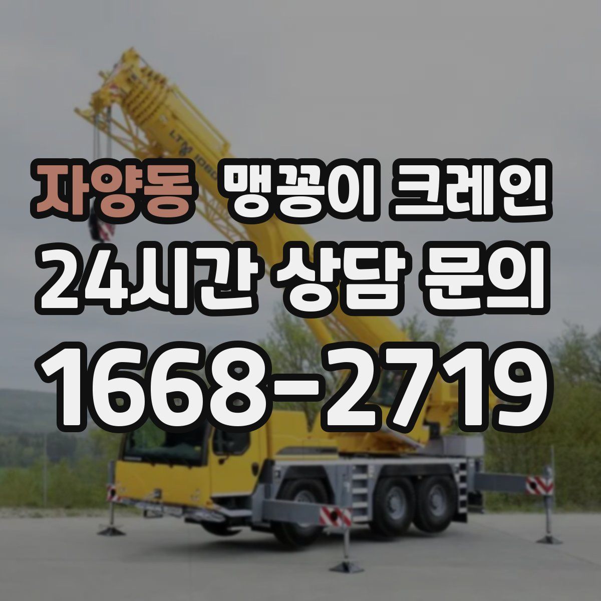 자양동 맹꽁이 크레인