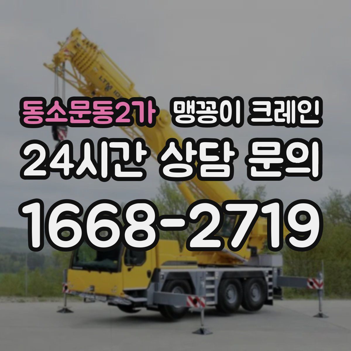 동소문동2가 맹꽁이 크레인