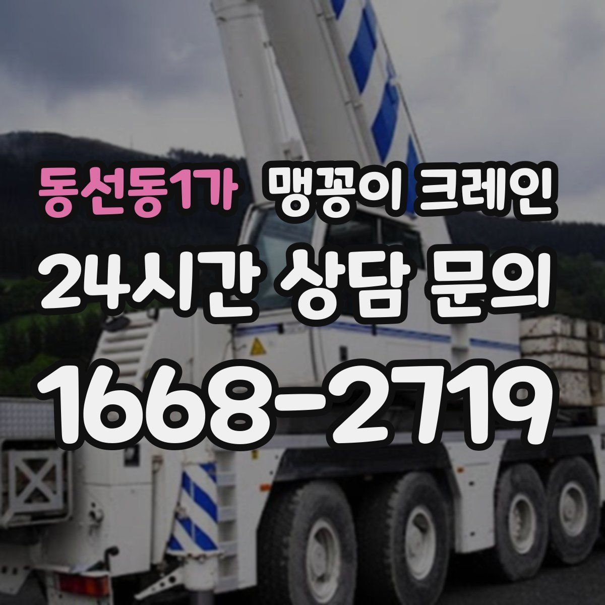 동선동1가 맹꽁이 크레인