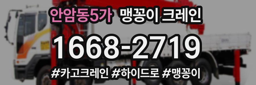 안암동5가 맹꽁이 크레인