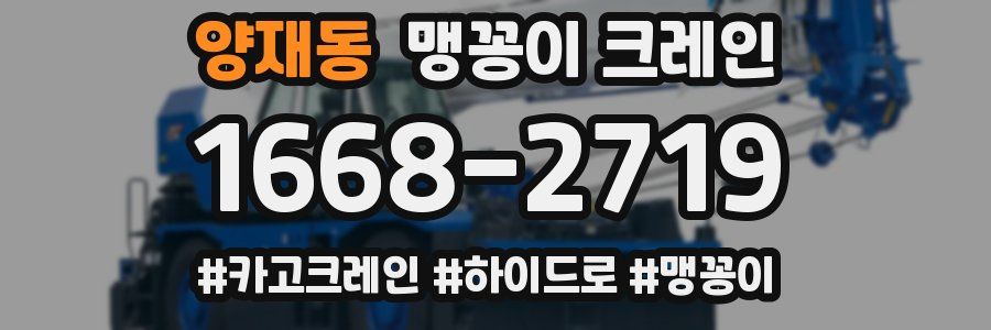 양재동 맹꽁이 크레인