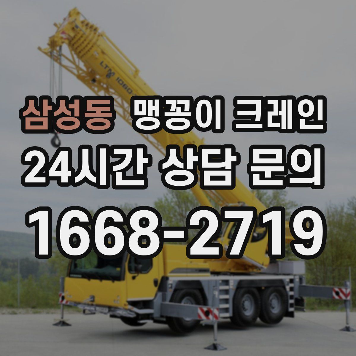 삼성동 맹꽁이 크레인