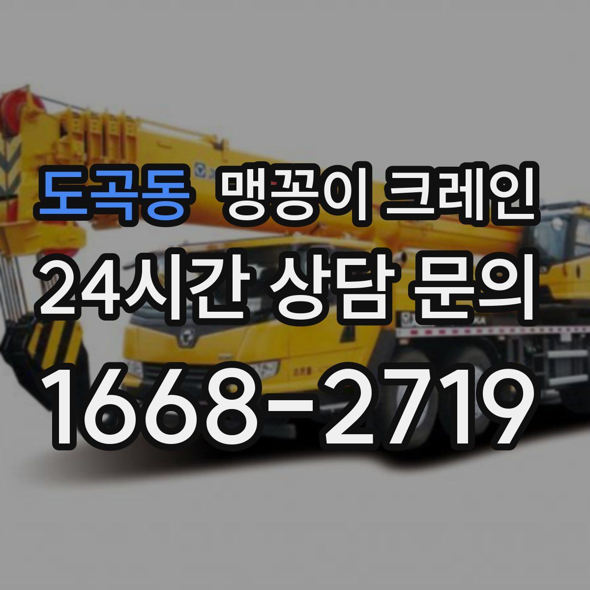 도곡동 맹꽁이 크레인