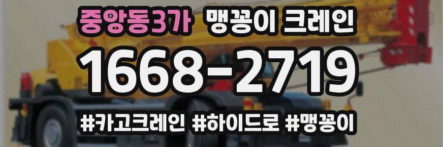 중앙동3가 맹꽁이 크레인