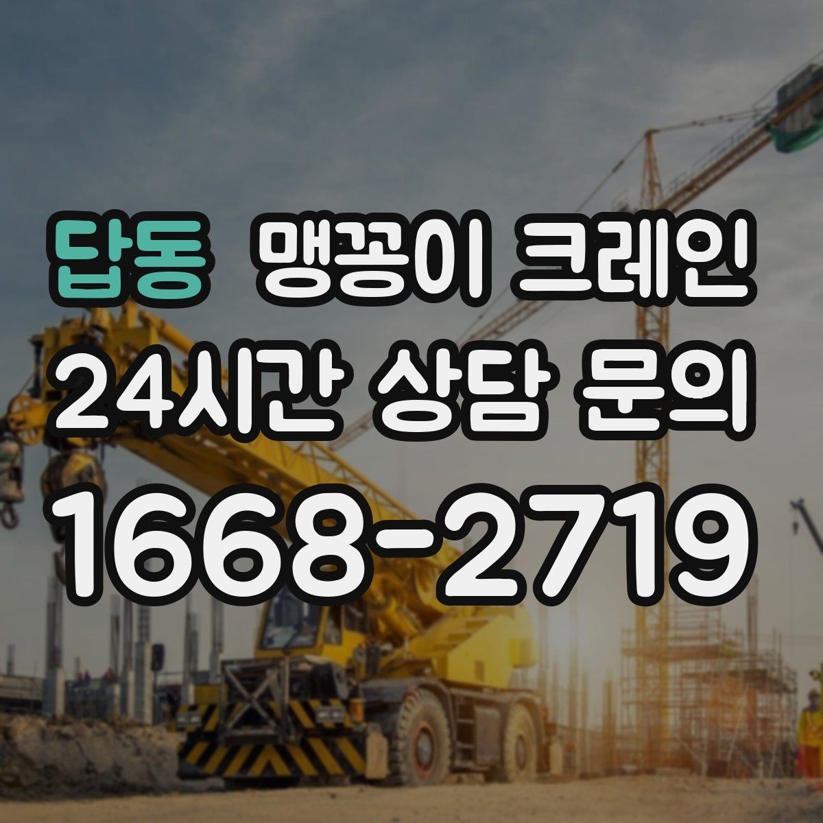 답동 맹꽁이 크레인 설치 자리 선정이 중요한 이유
