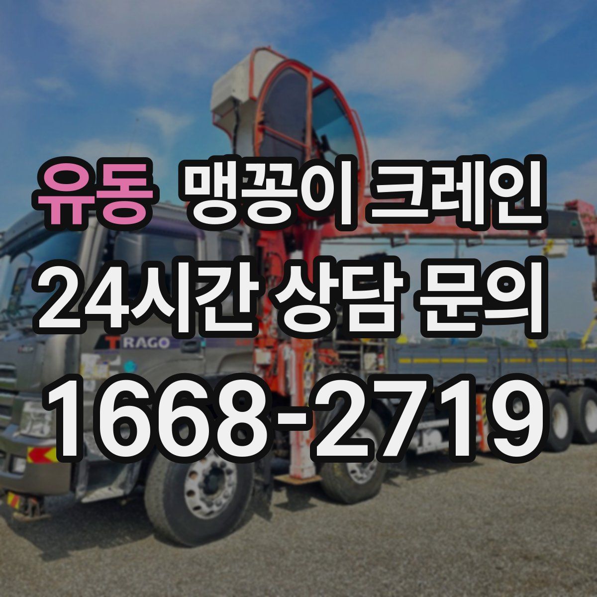 유동 맹꽁이 크레인