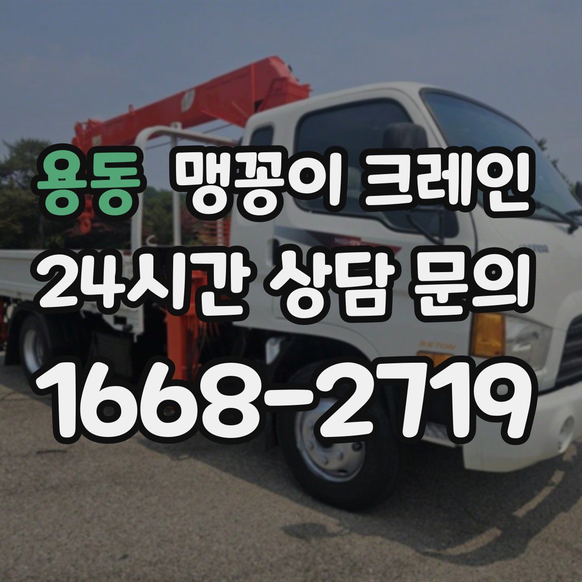 용동 맹꽁이 크레인