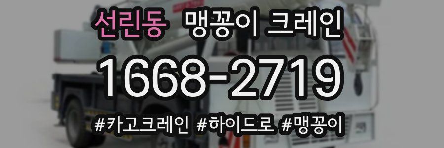 선린동 맹꽁이 크레인