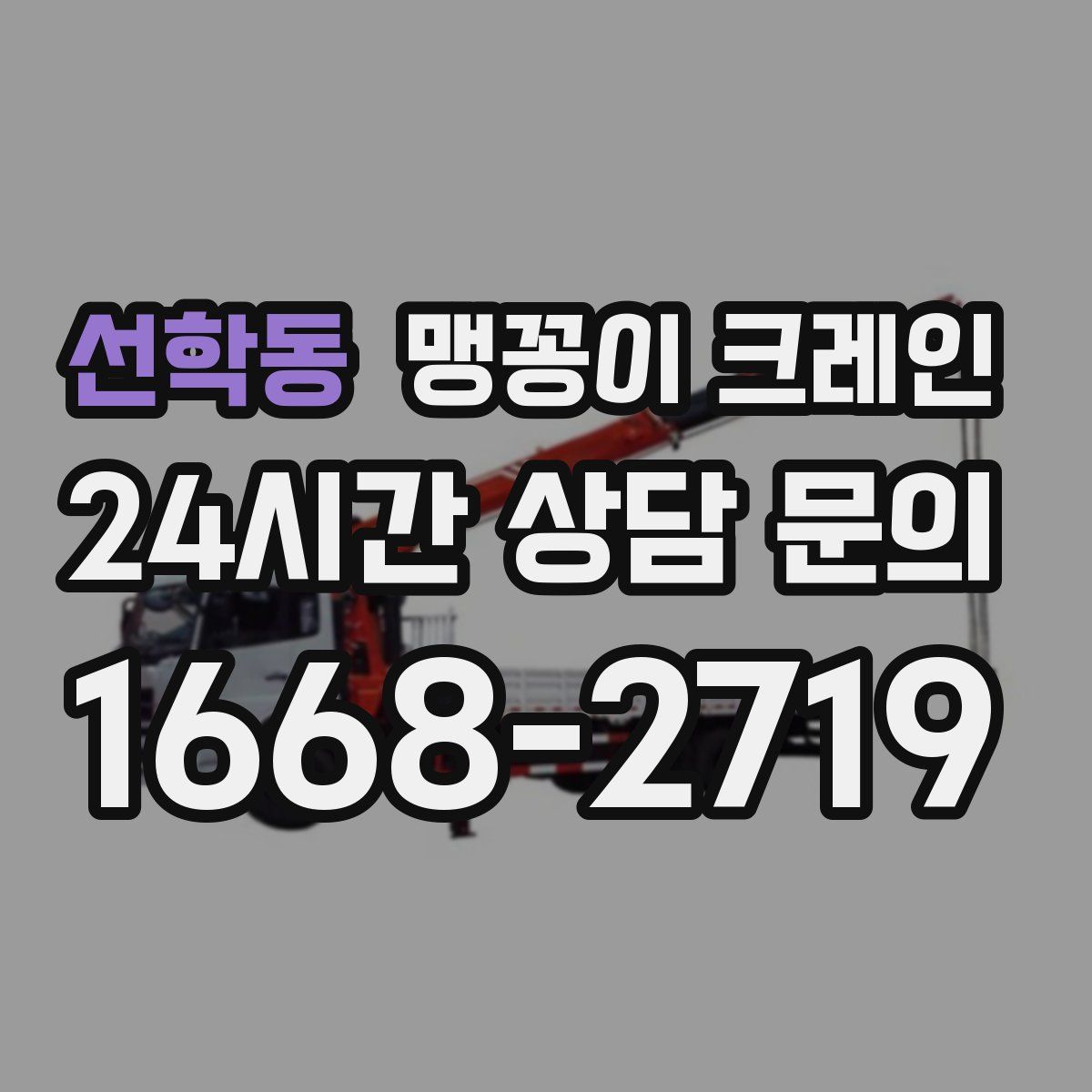 선학동 맹꽁이 크레인