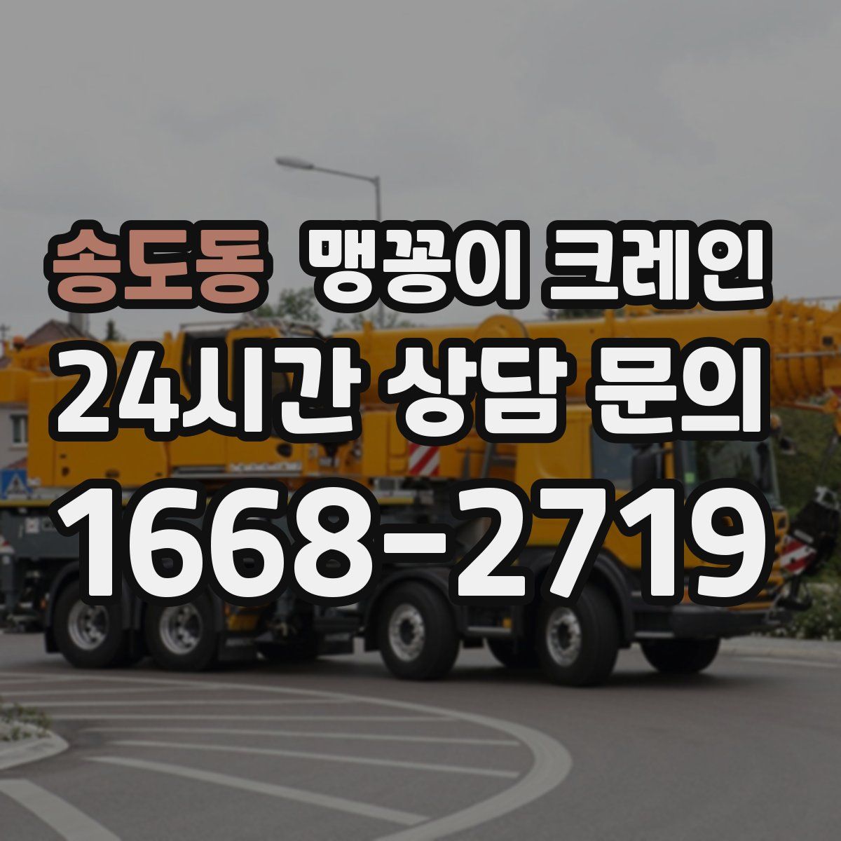 송도동 맹꽁이 크레인