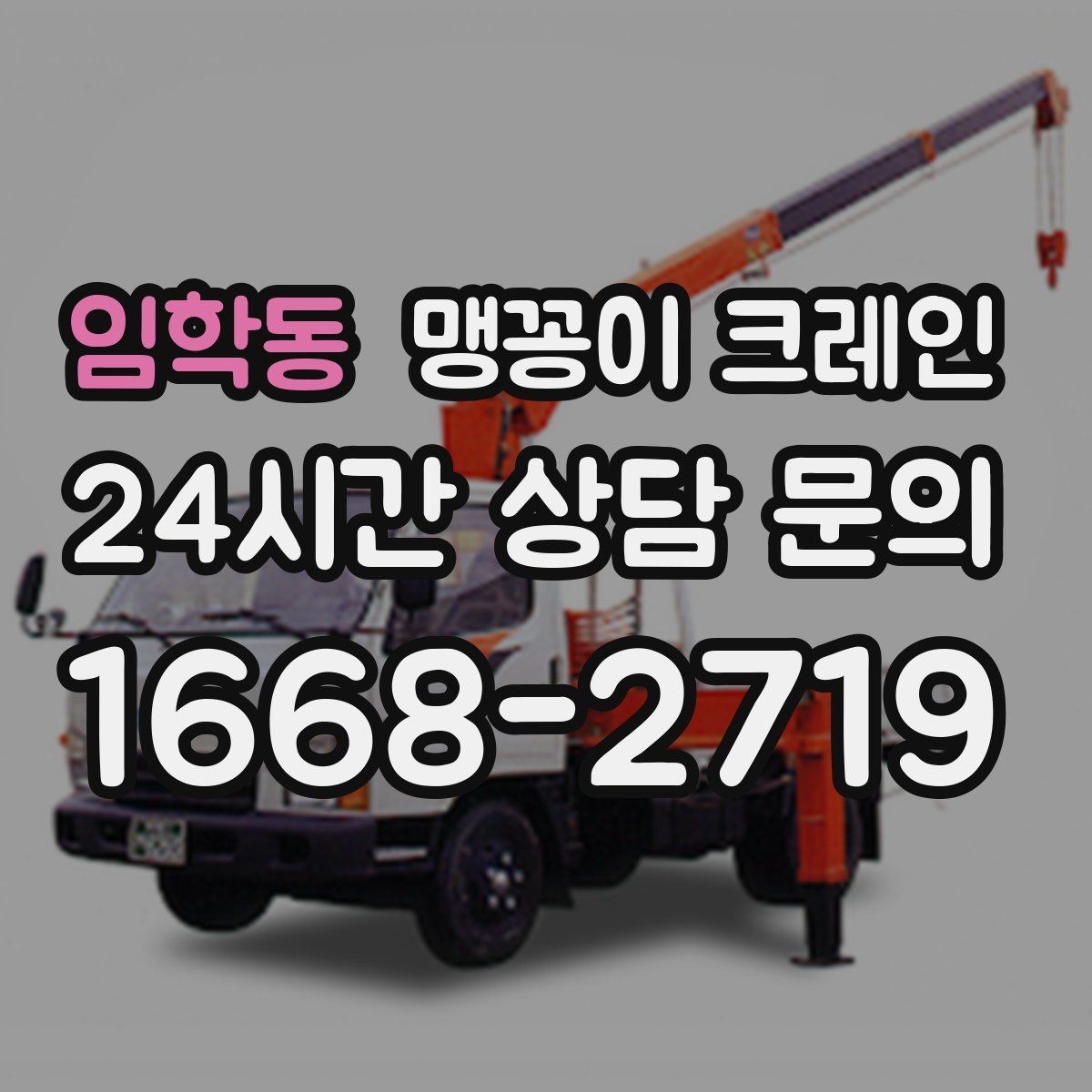 임학동 맹꽁이 크레인 장비 반입·설치가 한 번에 끝나는 흐름