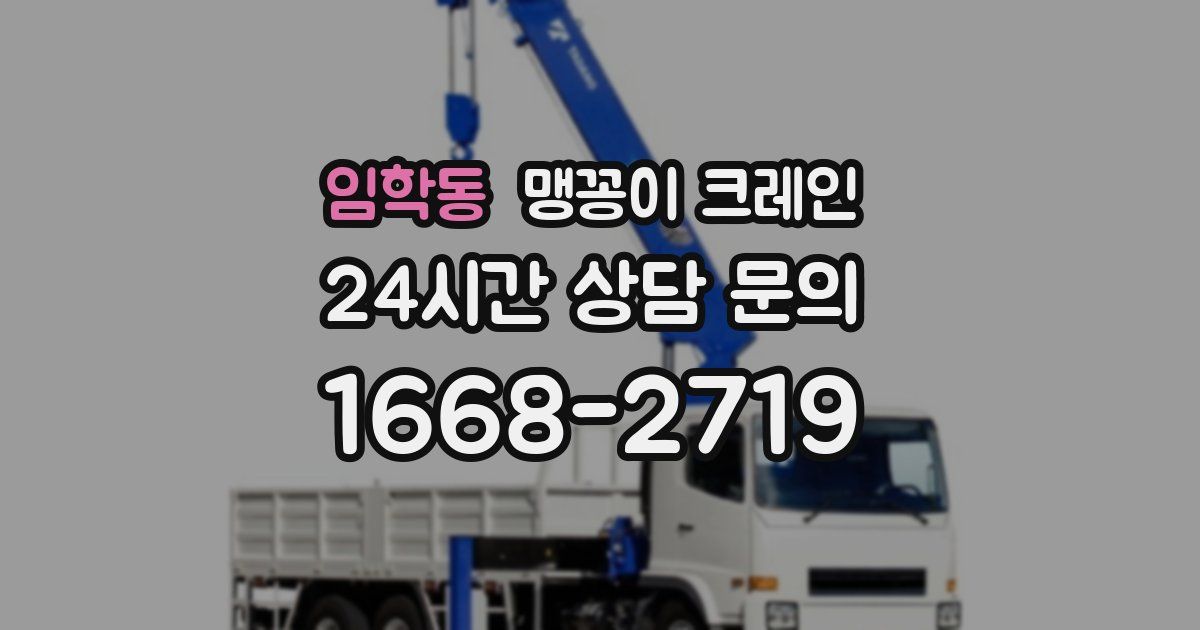 임학동 맹꽁이 크레인