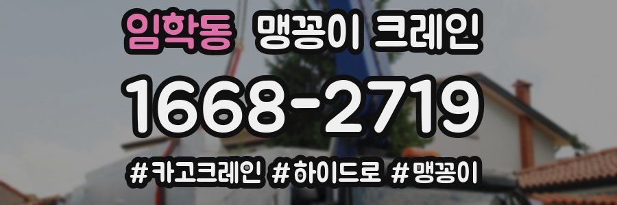 임학동 맹꽁이 크레인