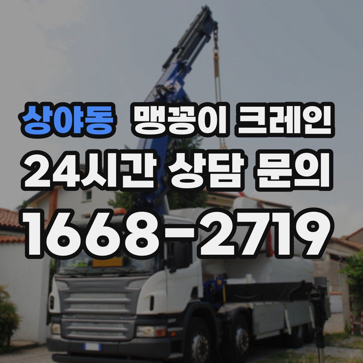 상야동 맹꽁이 크레인