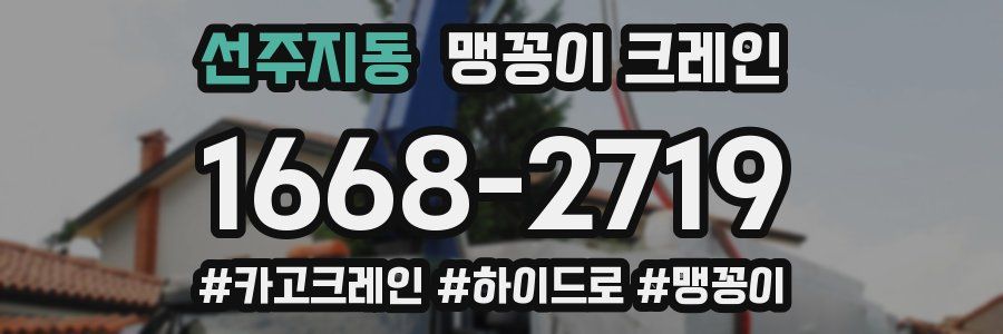 선주지동 맹꽁이 크레인