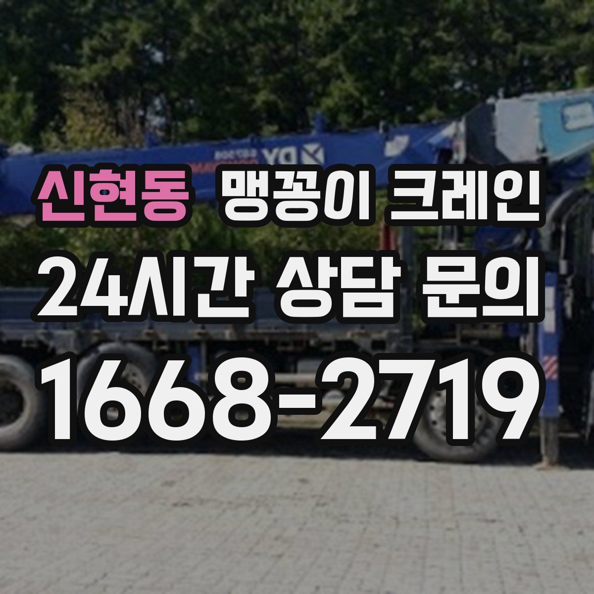 신현동 맹꽁이 크레인