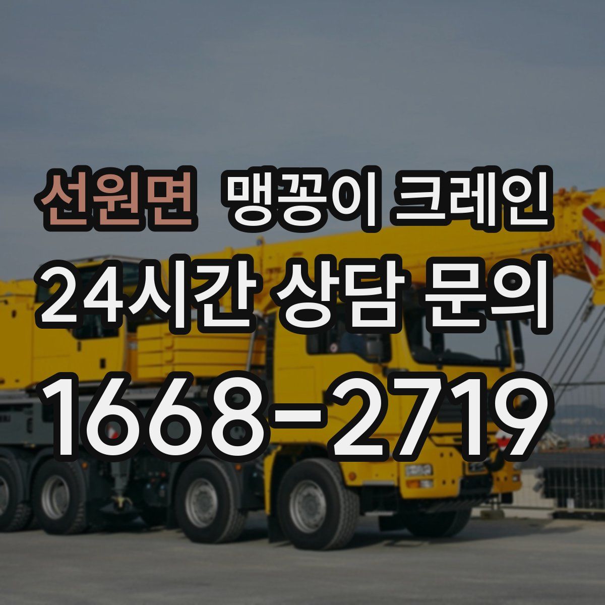 선원면 맹꽁이 크레인