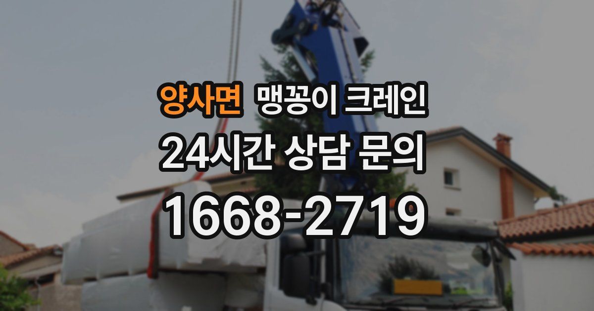 양사면 맹꽁이 크레인