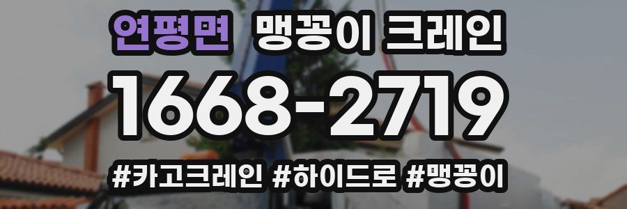 연평면 맹꽁이 크레인