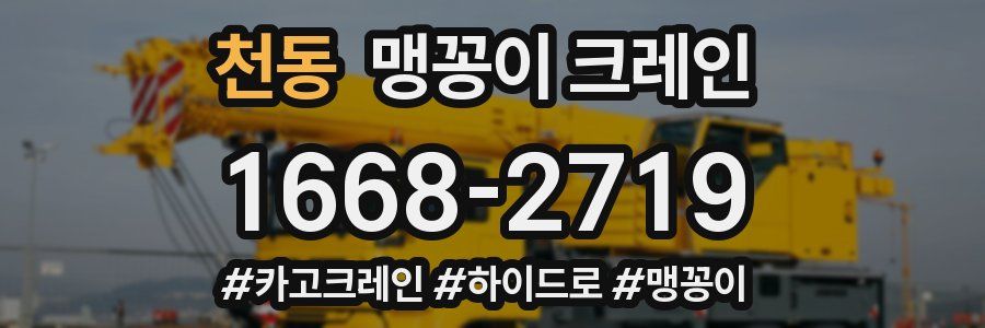 천동 맹꽁이 크레인