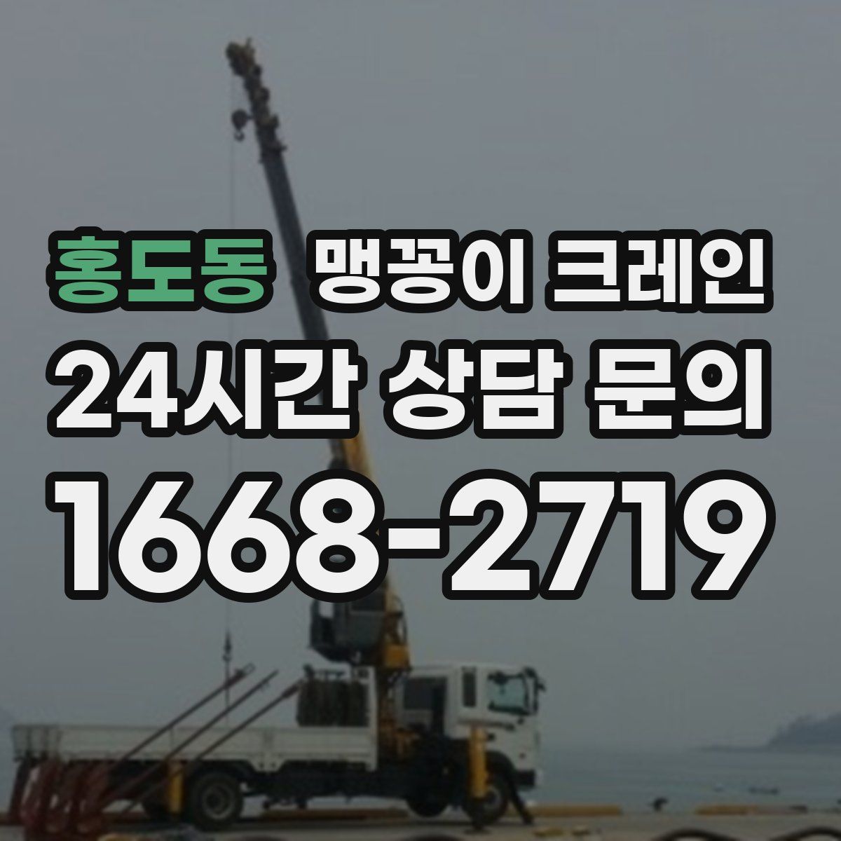 홍도동 맹꽁이 크레인