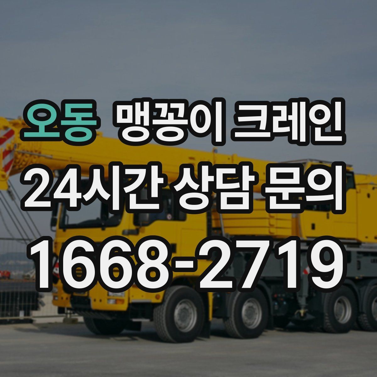 오동 맹꽁이 크레인 지하주차장 작업에 자주 쓰이는 이유