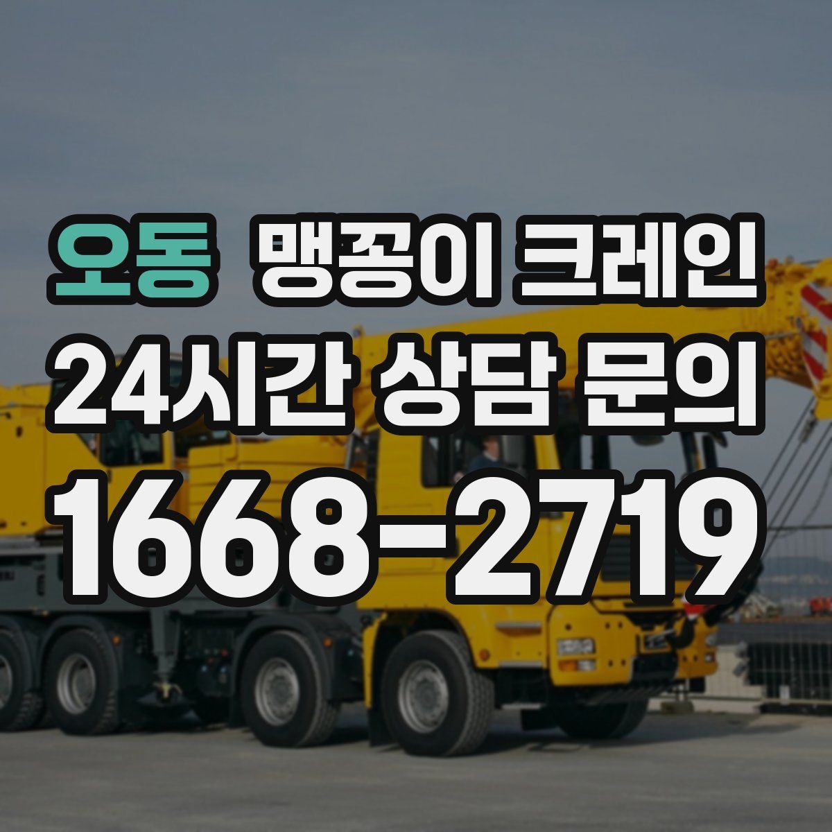 오동 맹꽁이 크레인