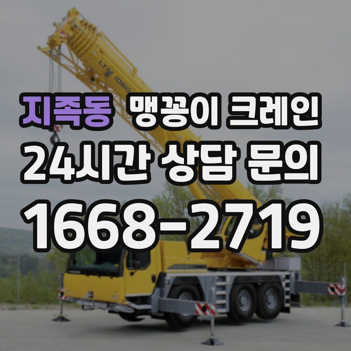 지족동 맹꽁이 크레인 출입로 폭·높이 측정이 필요한 이유