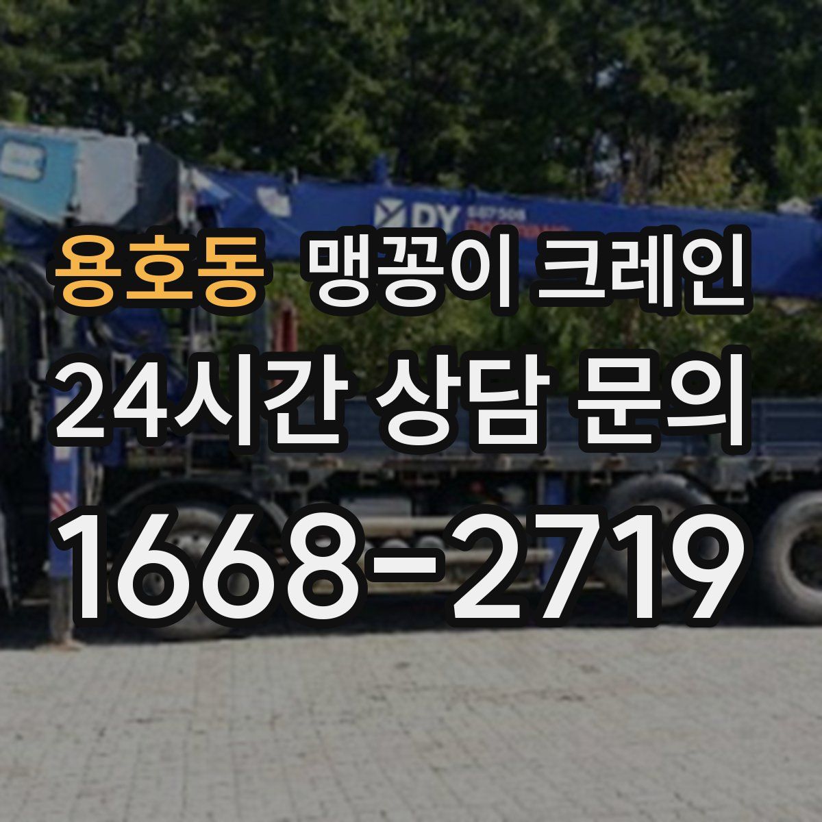용호동 맹꽁이 크레인