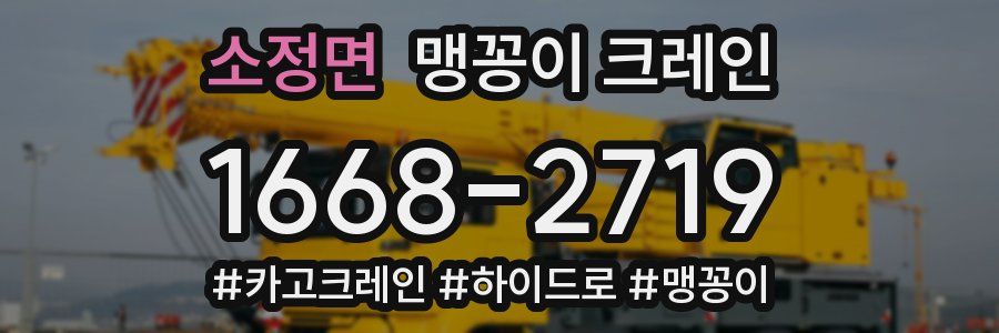 소정면 맹꽁이 크레인