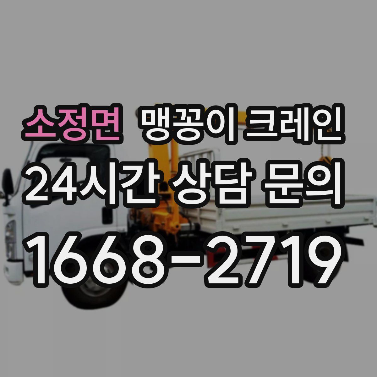 소정면 맹꽁이 크레인