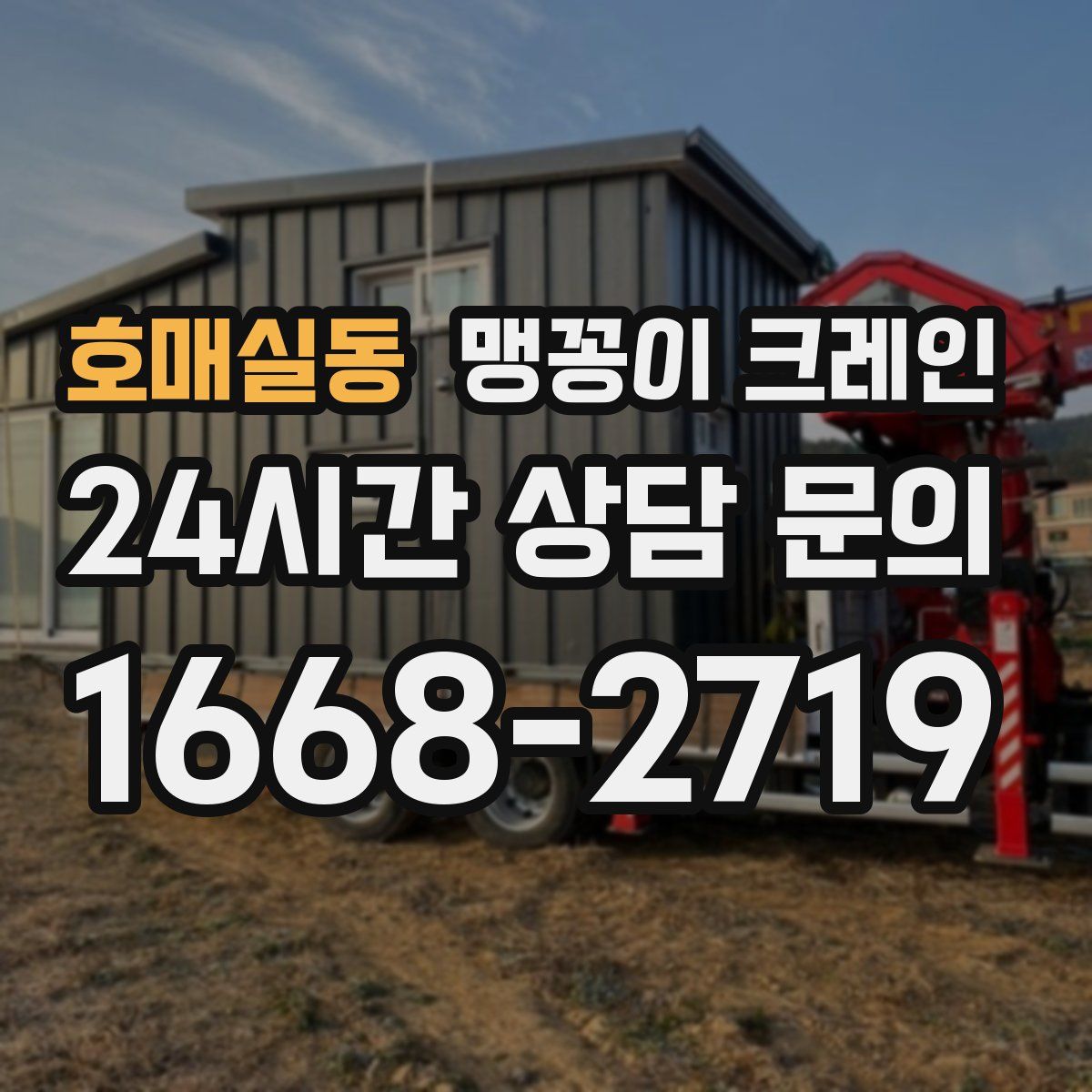 호매실동 맹꽁이 크레인