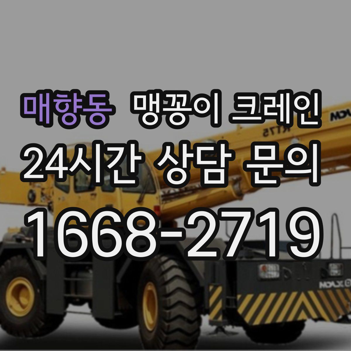 매향동 맹꽁이 크레인