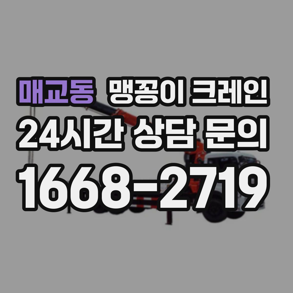 매교동 맹꽁이 크레인