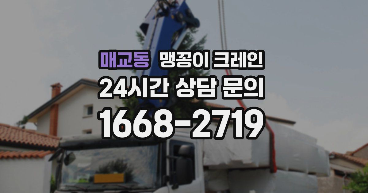 매교동 맹꽁이 크레인