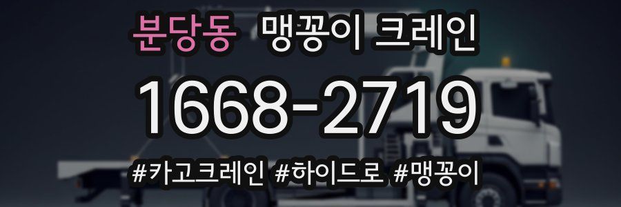 분당동 맹꽁이 크레인