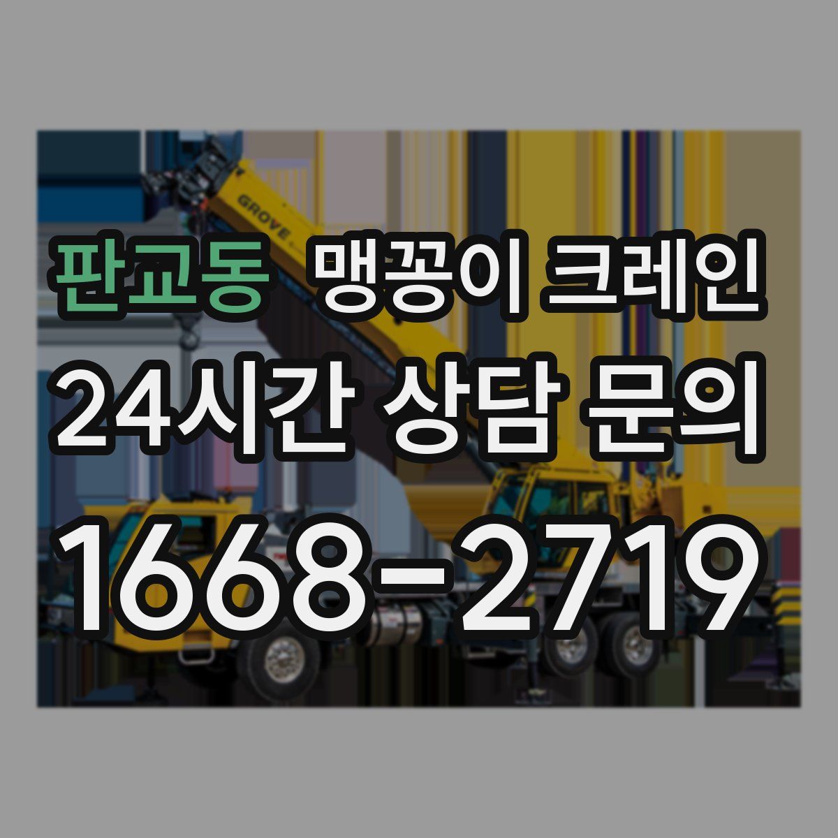 판교동 맹꽁이 크레인