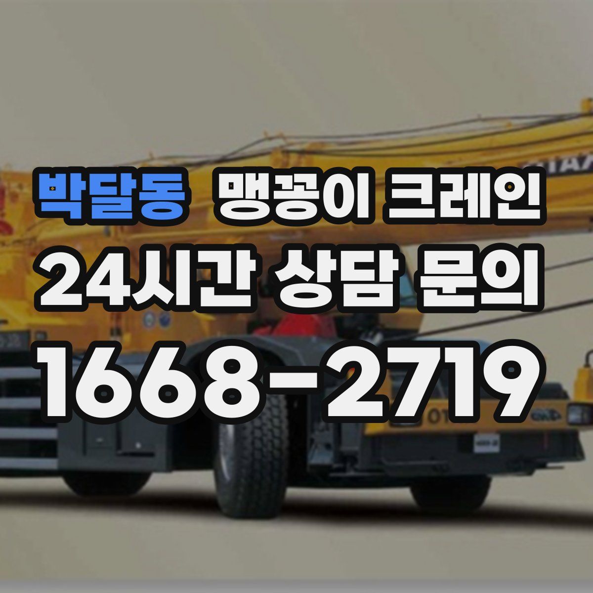 박달동 맹꽁이 크레인