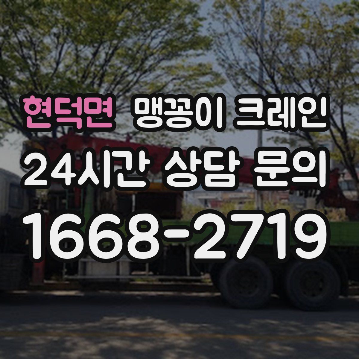 현덕면 맹꽁이 크레인